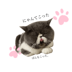 mizuki_20210926002218