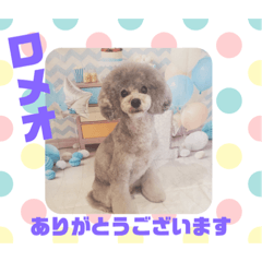 HappyBathPepのお友達　I