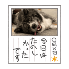 akiko_20210926012901