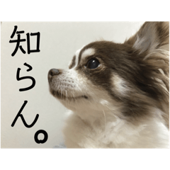 Saori_20210926020056