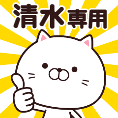 Animation of name stickers (Shimizu)