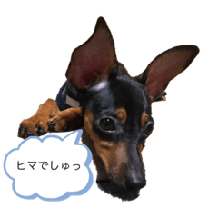 cocoa_20210920203131