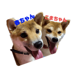 Nabochan_20210920200757