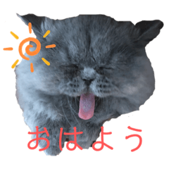 luna Luna_20210920204504