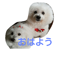 petstamp2