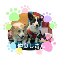 miki_20210926114432