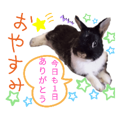 hana_20210920234510