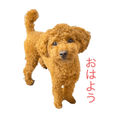 kaito_20210921073439