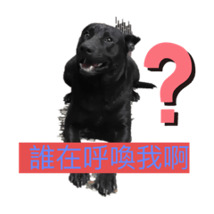 藍多多