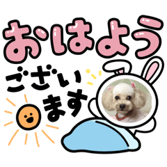 Yuka29633