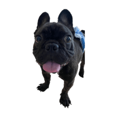 Hikari_20210921133847