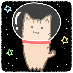 The cat wish to go to space