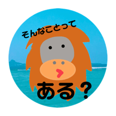 ayumi_20210926131505