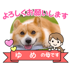 miki_20210926140041