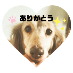 Saya_20210921191916
