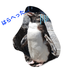 hana_20210921213326