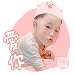 Pig Bao Dudu Daily Greetings