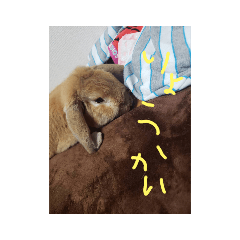 puku_20210926093129