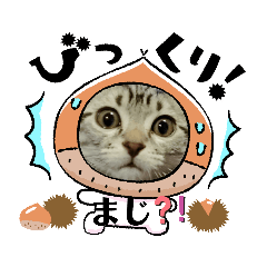 Yuka_20210920203518