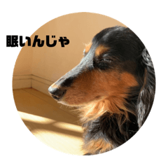 Suzu_20210922082027