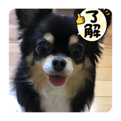 nanami_20210921234656