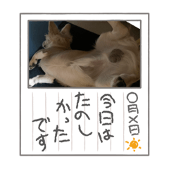 shizu_20210922103043