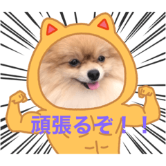 yamada_20210922165026