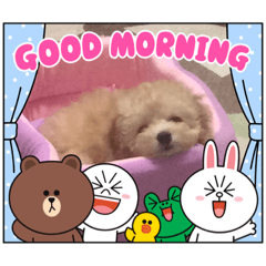 Yuka_20210921224324