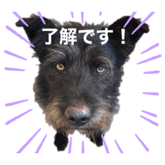 yuka_20210922105417
