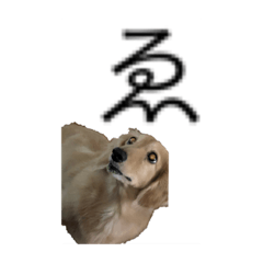 so_20210920213124