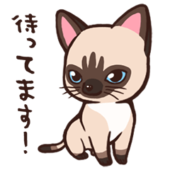 My cat stickers-Siamese cat