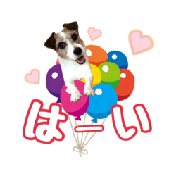 こむぎ❤️スタンプ❤️part2