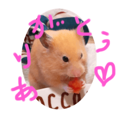 chie_20210922193846