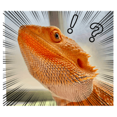 kusozaru_20210922210211