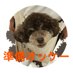 cocoa_20210926202511