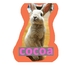 cocoasfriend