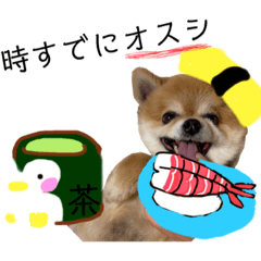 orange_20210924013751