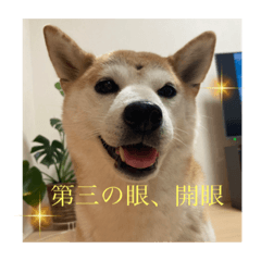 monaka_20210922224307