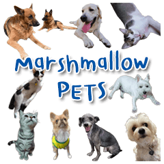 Marshmallow PETS
