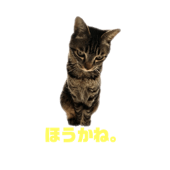 3cat language