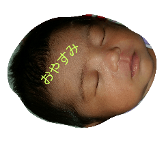 baby&pet