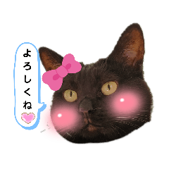 kurosuke_20210927150803