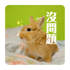百變小寶