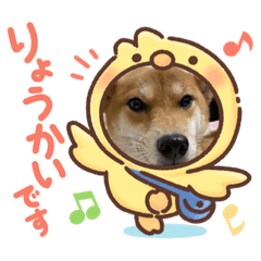 aru_20210927162300