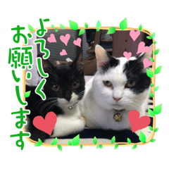 HANA_20210923145612