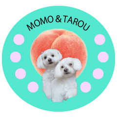 MOMO AND TAROU STICKERS