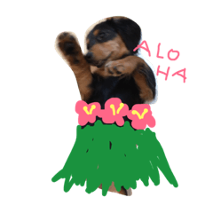 まめすけ かわい