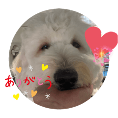 miki_20210923171618