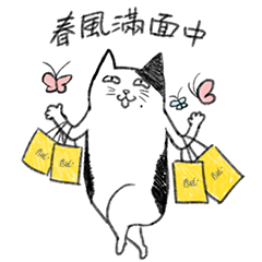 Andante tissues-Andante Cat