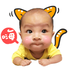 迷の宏哥